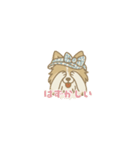 ゆるっとシェルティ（個別スタンプ：15）