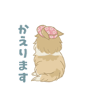 ゆるっとシェルティ（個別スタンプ：19）