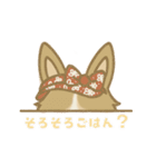 ゆるっとシェルティ（個別スタンプ：20）