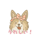 ゆるっとシェルティ（個別スタンプ：23）