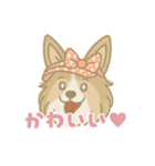 ゆるっとシェルティ（個別スタンプ：25）