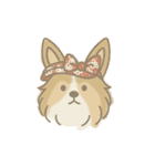 ゆるっとシェルティ（個別スタンプ：33）