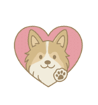 ゆるっとシェルティ（個別スタンプ：34）