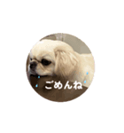 ティムちゃんの♡♡2（個別スタンプ：1）