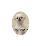 ティムちゃんの♡♡2（個別スタンプ：2）
