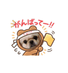 ティムちゃんの♡♡2（個別スタンプ：4）