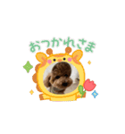 動くトイプのpinoくん①（個別スタンプ：12）