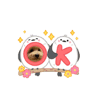 動くトイプのpinoくん①（個別スタンプ：14）