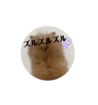 動く うずゆずスタンプ（個別スタンプ：5）