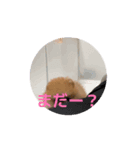 動く うずゆずスタンプ（個別スタンプ：7）