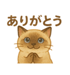 たぬきシャム猫びより（個別スタンプ：1）