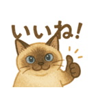 たぬきシャム猫びより（個別スタンプ：2）