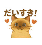 たぬきシャム猫びより（個別スタンプ：5）
