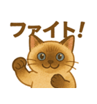 たぬきシャム猫びより（個別スタンプ：10）