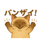 たぬきシャム猫びより（個別スタンプ：11）