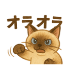 たぬきシャム猫びより（個別スタンプ：12）