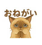 たぬきシャム猫びより（個別スタンプ：13）