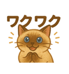 たぬきシャム猫びより（個別スタンプ：14）