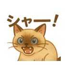 たぬきシャム猫びより（個別スタンプ：15）
