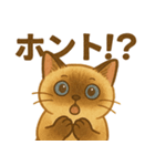 たぬきシャム猫びより（個別スタンプ：16）