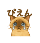 たぬきシャム猫びより（個別スタンプ：17）