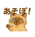 たぬきシャム猫びより（個別スタンプ：18）