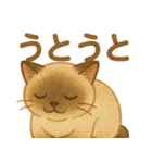 たぬきシャム猫びより（個別スタンプ：19）