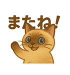 たぬきシャム猫びより（個別スタンプ：20）