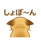 たぬきシャム猫びより（個別スタンプ：21）