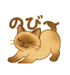 たぬきシャム猫びより（個別スタンプ：23）