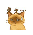 たぬきシャム猫びより（個別スタンプ：24）