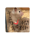 高橋家のはむちゃん 3（個別スタンプ：11）