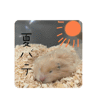 高橋家のはむちゃん 3（個別スタンプ：14）
