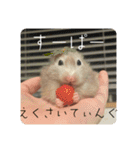 高橋家のはむちゃん 3（個別スタンプ：15）