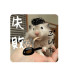 高橋家のはむちゃん 3（個別スタンプ：17）