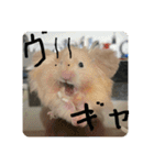 高橋家のはむちゃん 3（個別スタンプ：18）