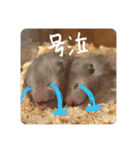 高橋家のはむちゃん 3（個別スタンプ：26）