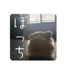 高橋家のはむちゃん 3（個別スタンプ：32）