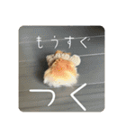 高橋家のはむちゃん 3（個別スタンプ：33）