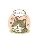 ハチワレにゃんずの日常vol.2（個別スタンプ：8）