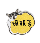 I♡まろ（個別スタンプ：10）
