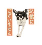 I♡まろ（個別スタンプ：19）