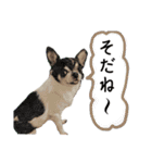 I♡まろ（個別スタンプ：29）