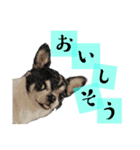 I♡まろ（個別スタンプ：31）