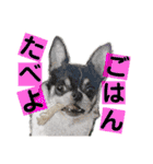 I♡まろ（個別スタンプ：32）