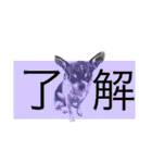 I♡まろ（個別スタンプ：34）