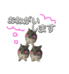 ハムスターイワシちゃんスタンプ（個別スタンプ：6）