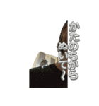 ハムスターイワシちゃんスタンプ（個別スタンプ：15）