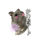 ハムスターイワシちゃんスタンプ（個別スタンプ：16）