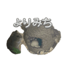 ハムスターイワシちゃんスタンプ（個別スタンプ：21）
